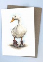 DOUBLE CARD WITH ENVELOPE DUCKS IN CHUCKS