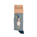 WRENDALE DESIGNS CHRISTMAS MENS SOCKS CHRISTMAS GUARD DUCK WITH SCARF