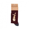 WRENDALE DESIGNS MENS RABBIT SOCKS