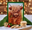 GRANDMA WILD'S EMBOSSED HIGHLAND COW BISCUIT TIN